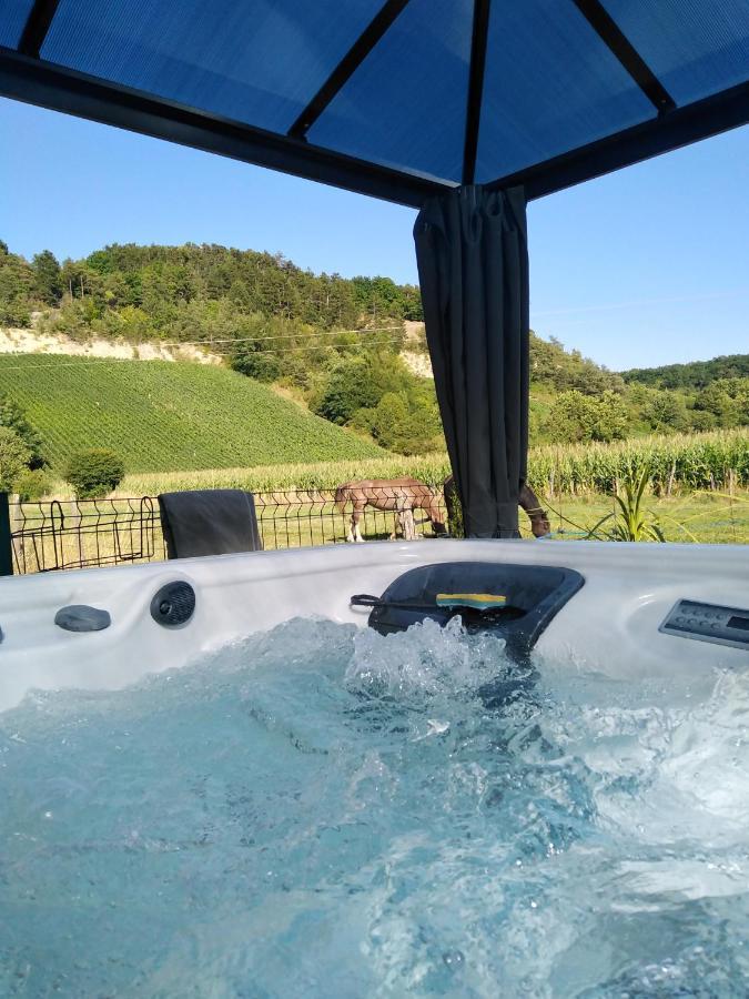 L'Echappee Belle En Champagne Villa Spoy  Exterior photo